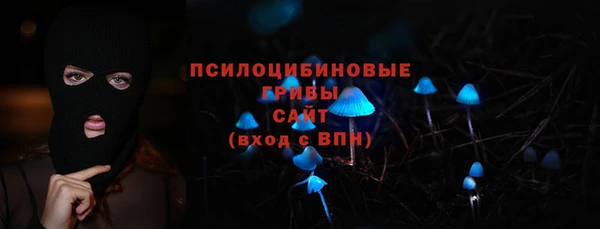 МДПВ Верхний Тагил