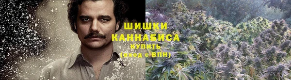 МДПВ Верхний Тагил